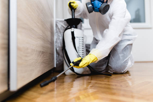 Best Pest Inspection Near Me  in Iron Mountain, MI