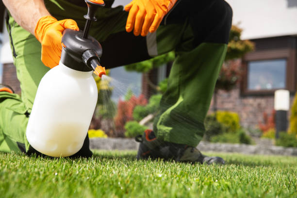 Best Rat Extermination Near Me  in Iron Mountain, MI