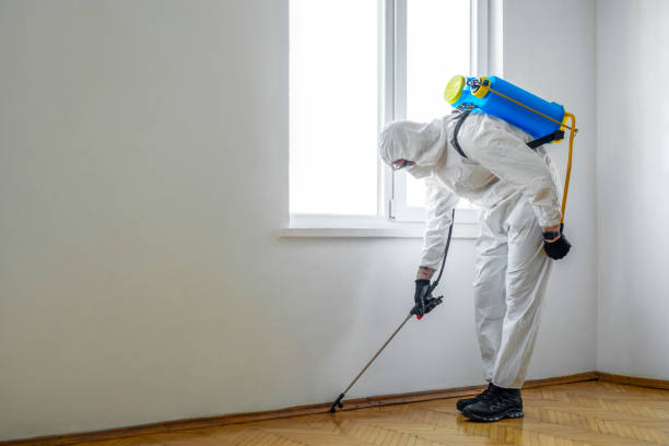 Best Commercial Pest Control Services  in Iron Mountain, MI