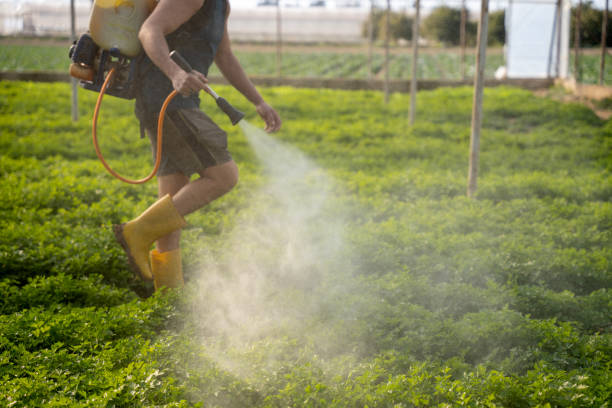 Best Best Pest Control Companies  in Iron Mountain, MI