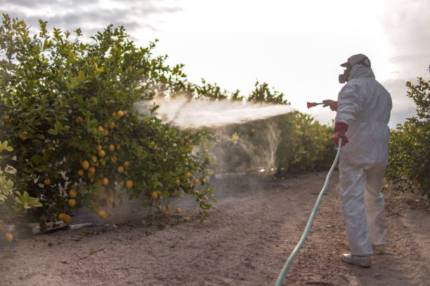 Best Commercial Pest Control Services  in Iron Mountain, MI