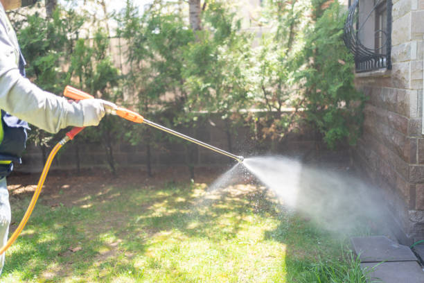 Best Pest Control Treatment  in Iron Mountain, MI