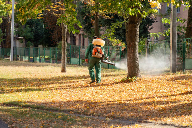 Wasp Removal Services in Iron Mountain, MI