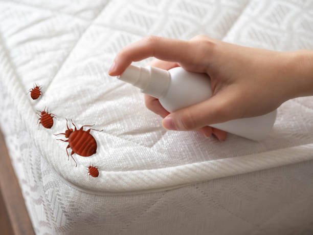 Best Pest Removal Services  in Iron Mountain, MI