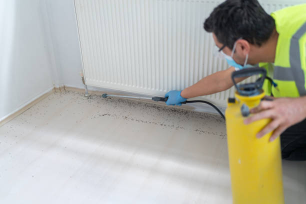 Best Termite Control Services  in Iron Mountain, MI