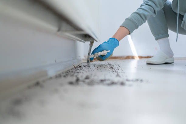 Wildlife Control Services in Iron Mountain, MI