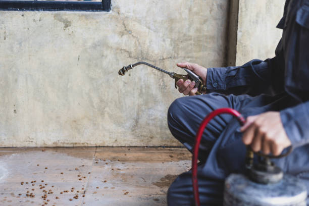 Best Residential Pest Control  in Iron Mountain, MI
