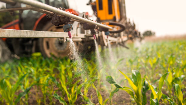 Best Pest Removal Services  in Iron Mountain, MI